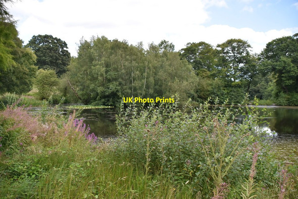 Photo 6"x4" Pond, Kenwood Estate Hampstead\/TQ2685 c2019 P2