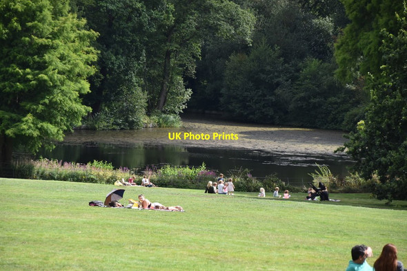 Photo 6"x4" Pond, Kenwood Estate Hampstead\/TQ2685 c2019 P3