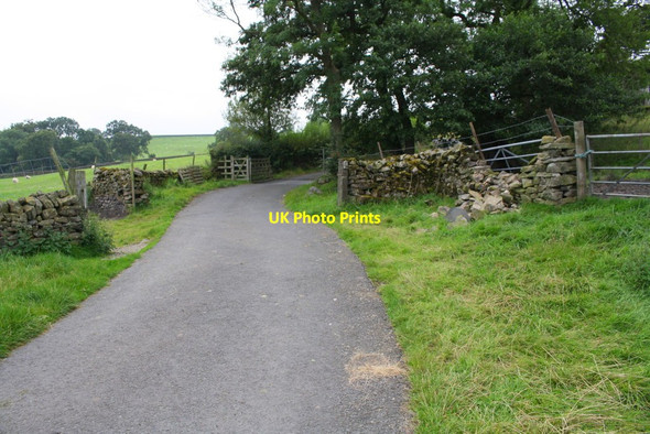 Photo 6"x4" Approaching cattle grid on Ribble Way passing Holly Dene Settle c2017