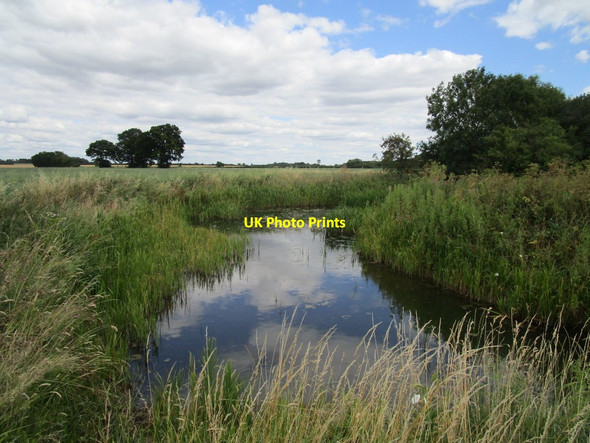 Photo 6"x4" Pond by Bull Nose Coppice Clopton c2020