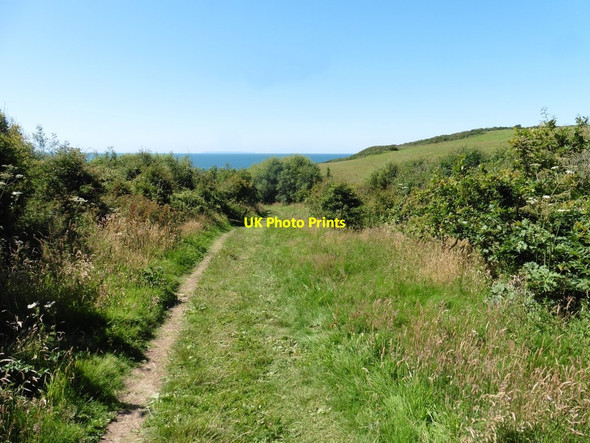 Photo 6"x4" Path to Green Cliff Rickard's Down c2020