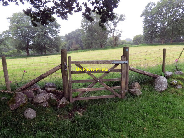Photo 6"x4" Llwybr Ceffyl ger Hen-glyn-uchaf \/ A bridleway near Hen-glyn-uchaf Cwmgiedd c2020