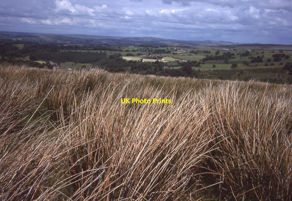 Photo 6"x4" View to the north east from Lambley Common Halton Lea Gate c1988