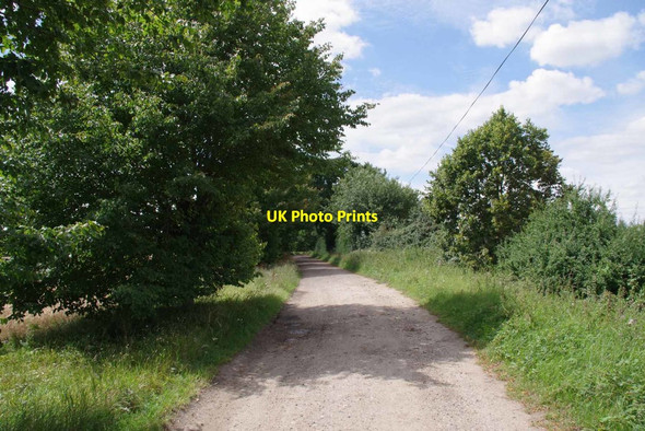 Photo 6"x4" Byway to Albury Rd Clapgate\/TL4425 c2020