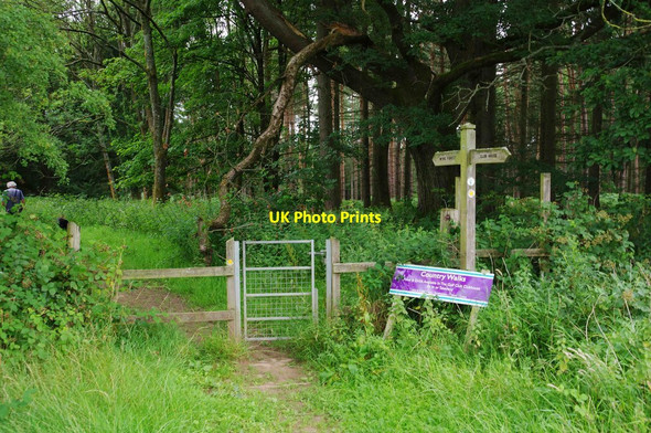 Photo 6"x4" Public footpath passing through gate, Cleobury Mortimer Golf Club, Shrops Cleobury Mortimer c2020