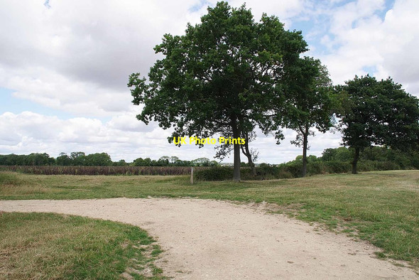 Photo 6"x4" Three Bridleway Junction Cole Green\/TL4331 c2020
