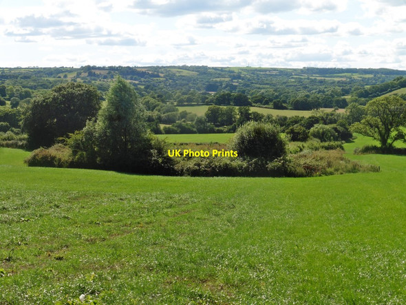 Photo 6"x4" Pond, at Manor Farm Adam's Green c2020