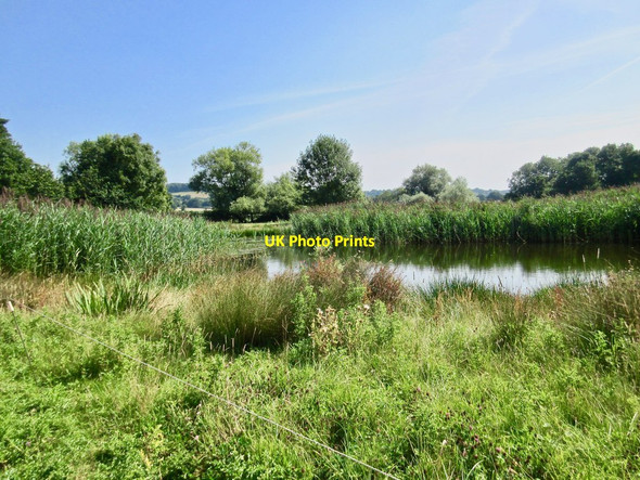 Photo 6"x4" Pond near Middle Chinnock Middle Chinnock c2020