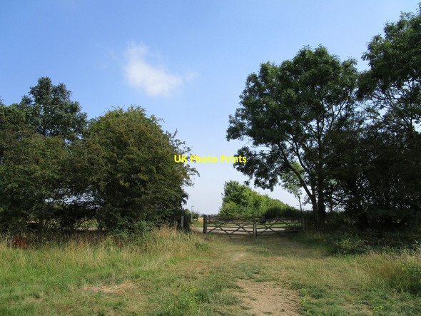 Photo 6"x4" Bridleway approaching the road from Spanhoe to Deene Deene c2020