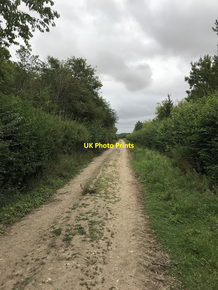 Photo 6"x4" Dunton bridleway Dunton\/TL2344 c2020 P1
