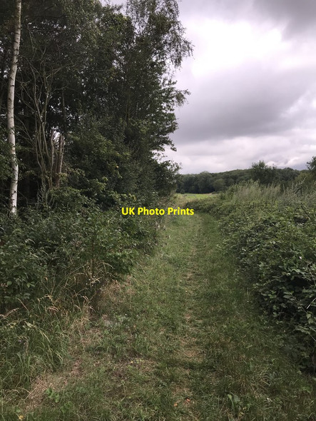 Photo 6"x4" Dunton bridleway Newton\/TL2244 c2020