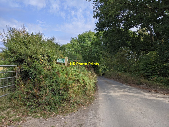 Photo 6"x4" Lane and a Public Bridleway sign Longdown\/SX8691 c2020
