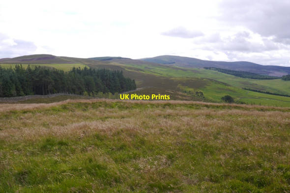 Photo 6"x4" Syke Hill summit and hill fort Haswellsykes c2020