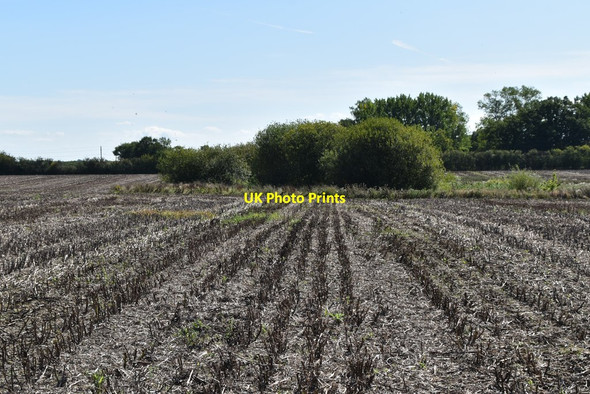 Photo 6"x4" Stubble with wooded pond beyond Broadstone\/TQ8647 c2019
