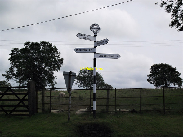 Photo 6"x4" Sheep at pasture Barnoldswick\/SD6671 c2012