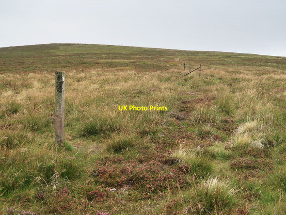Photo 6"x4" Old Fence Posts on Glenwhappen Rig Tweedsmuir c2020