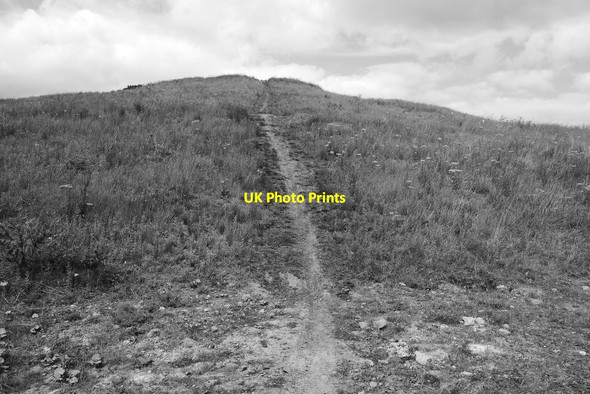 Photo 6"x4" Mound, St Ninians open cast site Kingseat\/NT1290 c2020