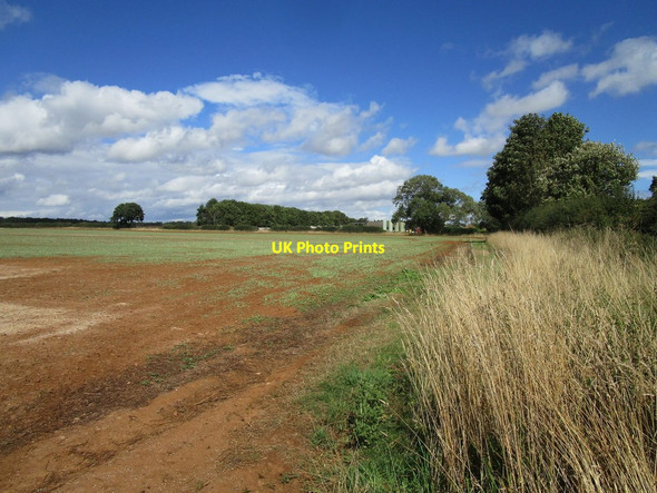 Photo 6"x4" Field near Terrace Hills Farm Eaton\/SK7929 c2020