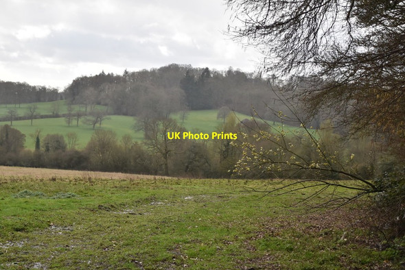 Photo 6"x4" Byway down Lythanger Empshott c2019