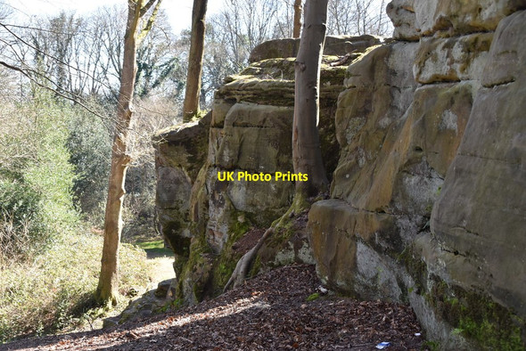 Photo 6"x4" Quarry, Rusthall Common Royal Tunbridge Wells c2020