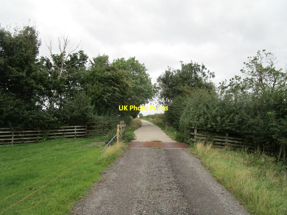 Photo 6"x4" Cattle grid on a bridleway to Waltham Lane Hose c2020