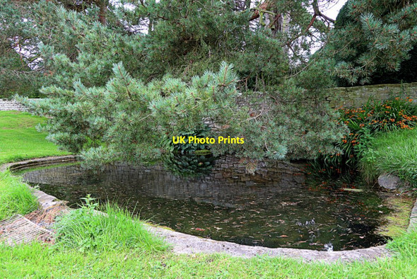 Photo 6"x4" Village pond, Halton Halton\/NY9967 c2020
