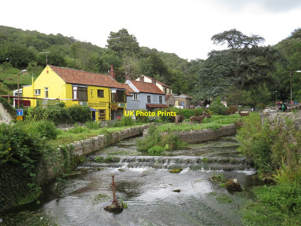 Photo 6"x4" Cheddar Yeo, Cheddar Bradley Cross c2020