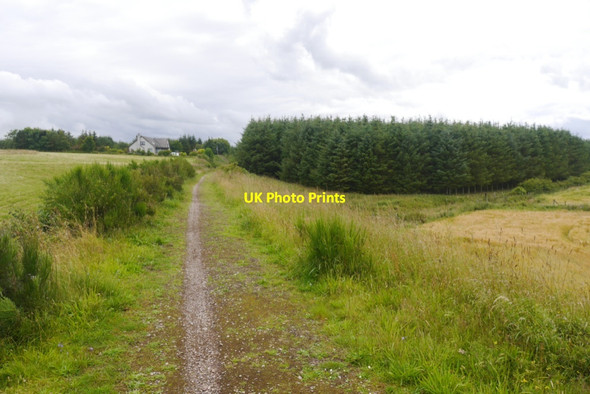 Photo 6"x4" Pine Lodge and the Formartine and Buchan Way Maud c2020