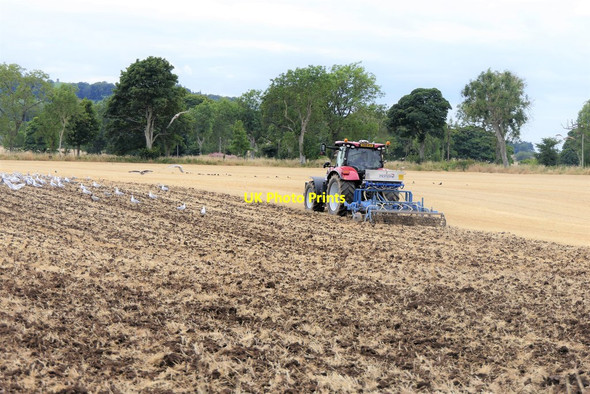Photo 6"x4" Farm Work Craichie\/NO5047 c2020