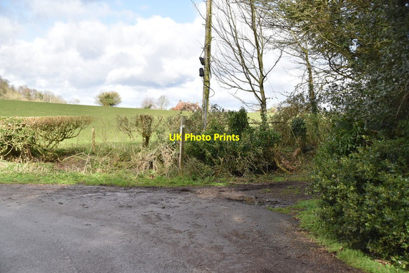 Photo 6"x4" Byway off Church Lane Empshott c2019