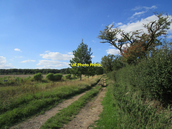 Photo 6"x4" Bridleway to Fineshade Blatherwycke c2020