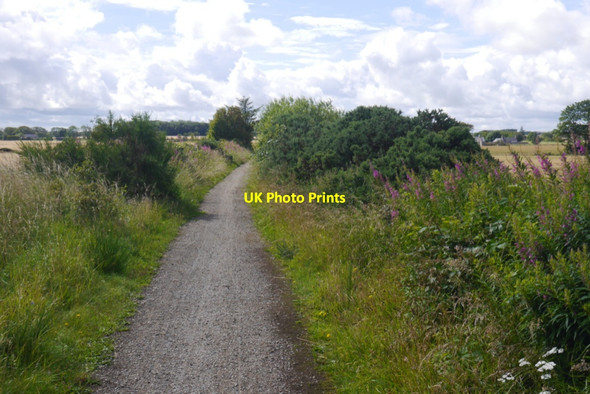 Photo 6"x4" Formartine and Buchan Way Lonmay c2020