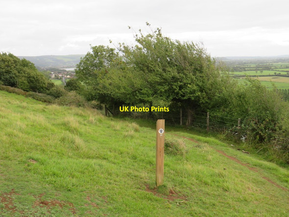 Photo 6"x4" Bridle path at Cross, near Axbridge Cross\/ST4154 c2020