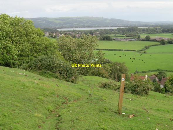 Photo 6"x4" Bridle path at Cross, near Axbridge Cross\/ST4154 c2020 P1