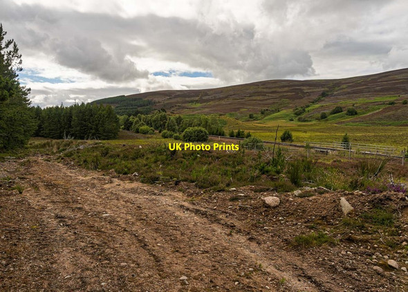 Photo 6"x4" Forestry track at Black Mount Foregin c2020