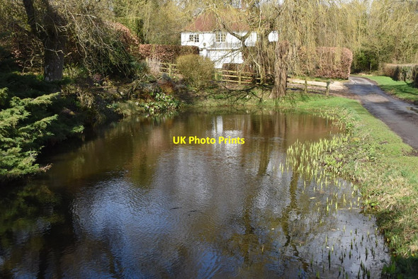Photo 6"x4" Pond, Vann Farm Empshott Green c2019