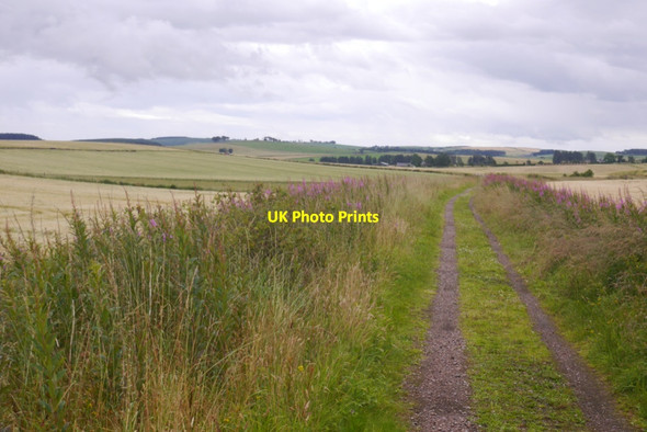 Photo 6"x4" Formartine and Buchan Way Carnichal c2020