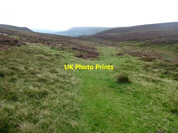 Photo 6"x4" Bridleway down the Olchon valley Craswall\/SO2835 c2020