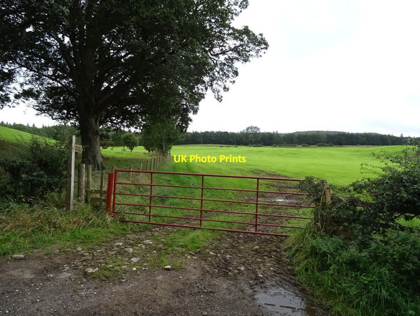 Photo 6"x4" Gated track and bridleway East Witton c2020