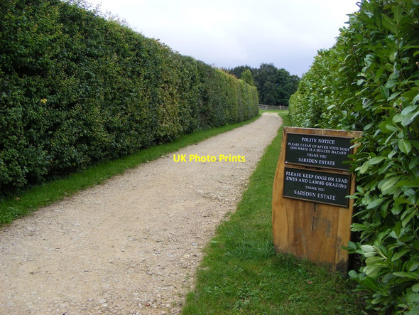 Photo 6"x4" Bridleway through Sarsden Estate (part of d'Arcy Dalton Way) Sarsden c2020