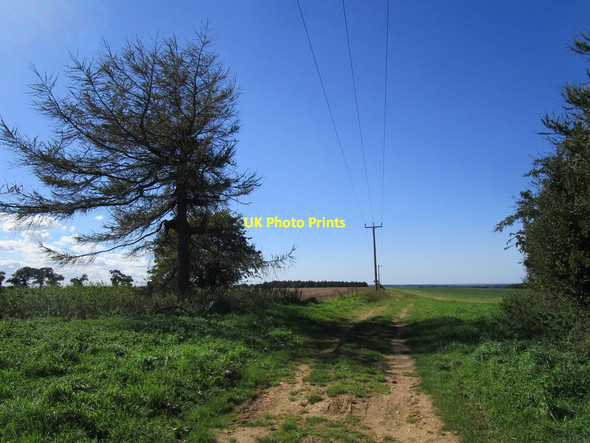 Photo 6"x4" Restricted byway to Congham Harpley\/TF7825 c2020