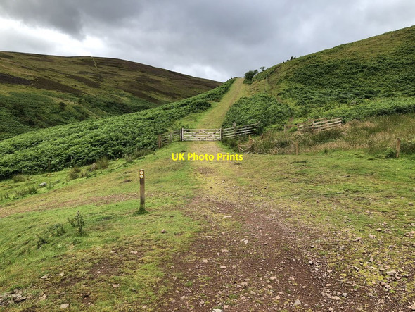 Photo 6"x4" Bridleway above Akeld Burn Akeld c2020