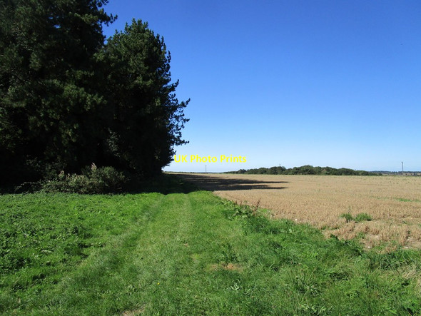 Photo 6"x4" Restricted byway to Congham Harpley\/TF7825 c2020