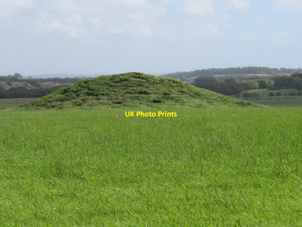 Photo 6"x4" Tumulus near Poundbury Dorchester\/SY6890 c2020