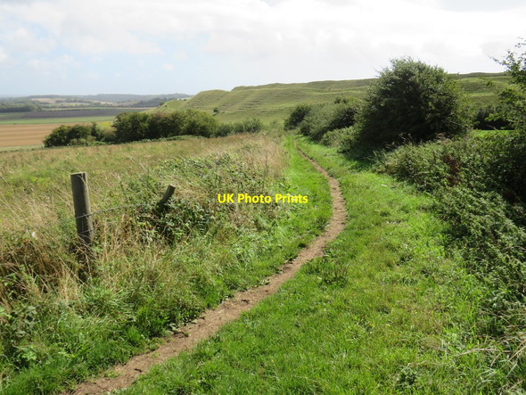 Photo 6"x4" Bridleway near Dorchester Dorchester\/SY6890 c2020 P1