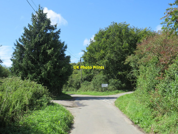 Photo 6"x4" Minor road junction near Dorchester Winterborne Monkton c2020