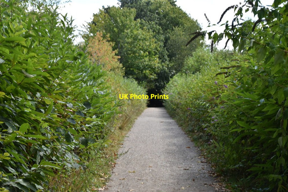 Photo 6"x4" Byway to Barming Heath Barming Heath c2019