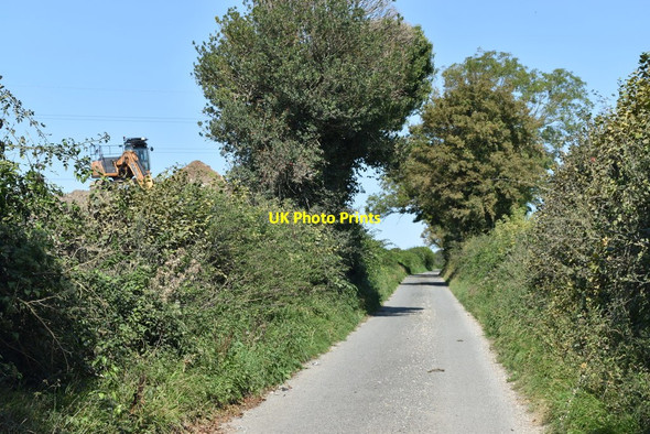 Photo 6"x4" Drove Lane north of Manor Farm Coombe Bissett c2020