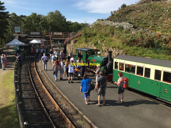 Photo 6"x4" Admiring Blanche Rhyd\/SH6341 c2020