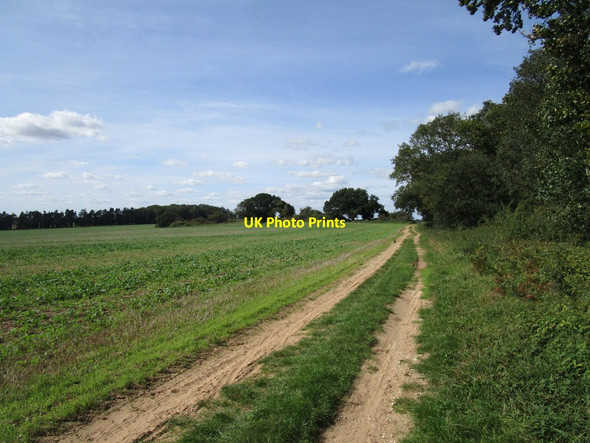 Photo 6"x4" Byway to Gayton Thorpe East Walton c2020